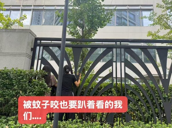 天猫配资 开学第一周，有爸爸比孩子哭得还凶！专家：面对分离焦虑，家长要学会放手